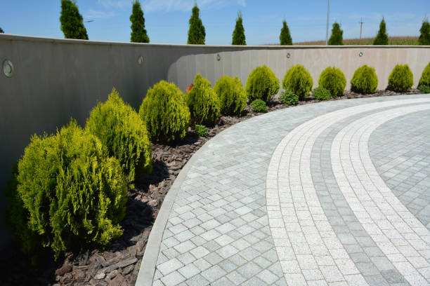 Best Decorative Driveway Pavers  in Elliston, VA